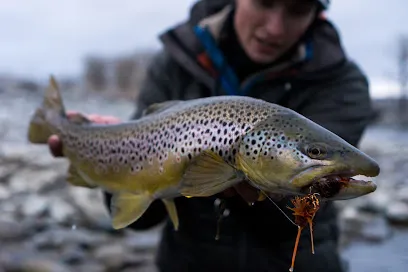 Wet Net Outfitters LLC